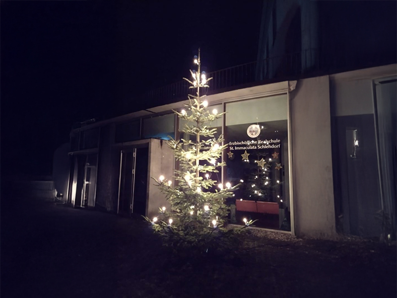 Ein Christbaum für unsere Schule
