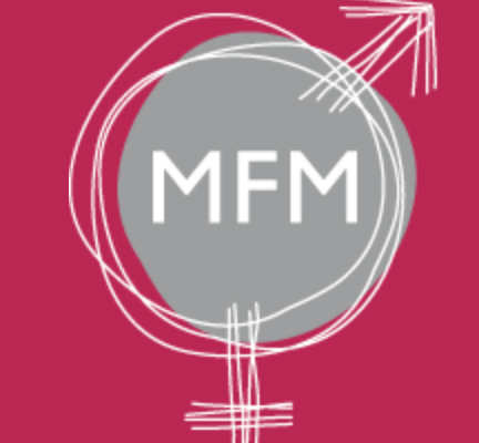 MFM Projekt 2025